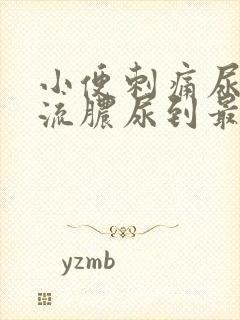 小便刺痛尿道口流脓尿到最后尿血