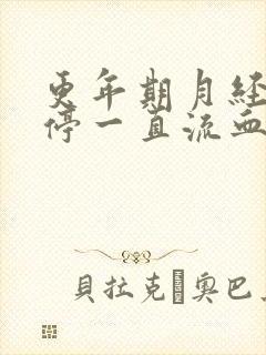 更年期月经总不停一直流血怎么治疗