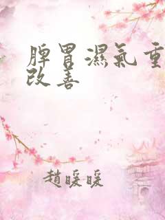 脾胃湿气重怎么改善