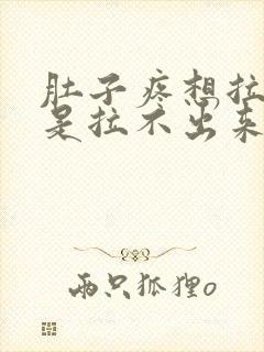 肚子疼想拉屎但是拉不出来一直放屁