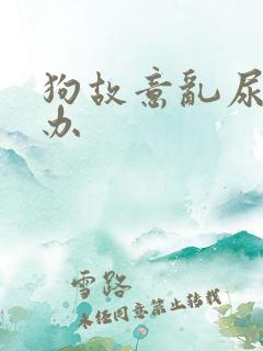 狗故意乱尿怎么办