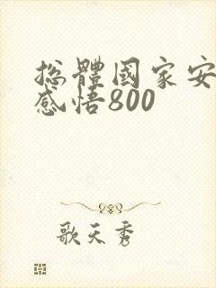 总体国家安全观感悟800