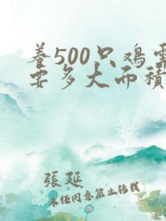 养500只鸡需要多大面积