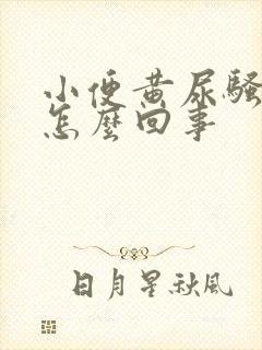 小便黄尿骚味重怎么回事