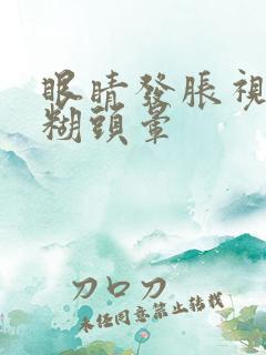 眼睛发胀视力模糊头晕