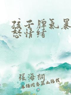 孩子脾气暴躁易怒情绪