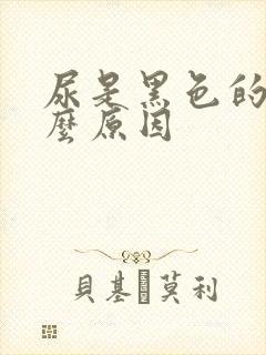 尿是黑色的是什么原因