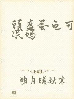 头盔蛋龟可以冬眠吗