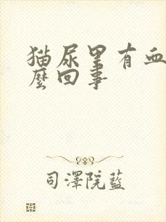 猫尿里有血是怎么回事