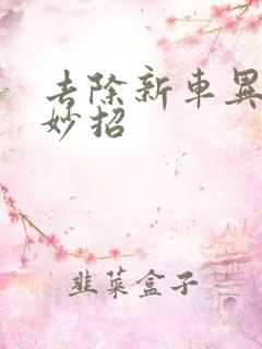 去除新车异味小妙招