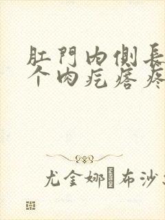 肛门内侧长了一个肉疙瘩疼痛