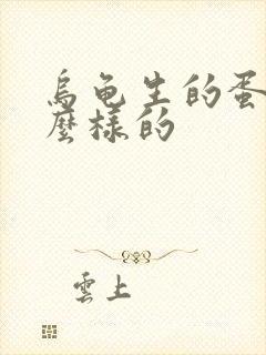 乌龟生的蛋是什么样的