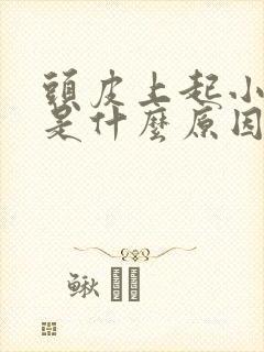 头皮上起小疙瘩是什么原因