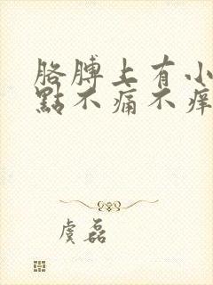 胳膊上有小红点点不痛不痒