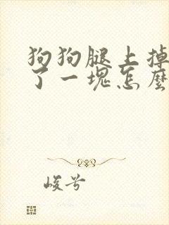 狗狗腿上掉毛秃了一块怎么办