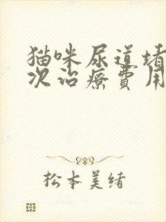 猫咪尿道堵塞一次治疗费用