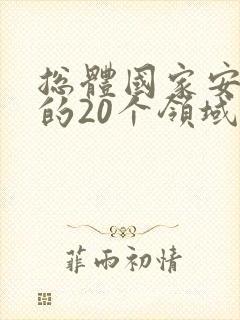 总体国家安全观的20个领域