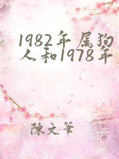 1982年属狗人和1978年属马的婚配