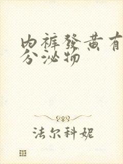 内裤发黄有水样分泌物