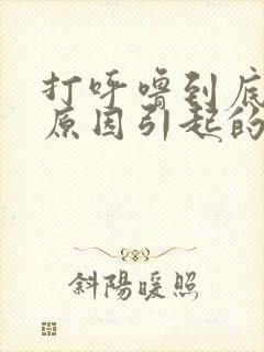 打呼噜到底什么原因引起的