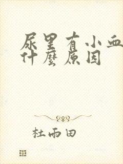 尿里有小血块是什么原因