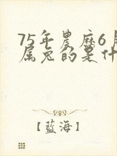 75年农历6月属兔的是什么命