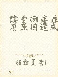 阴囊潮瘙痒是什么原因造成的