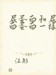 尿蛋白和尿微量白蛋白一样吗