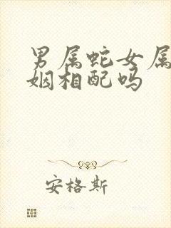 男属蛇女属狗婚姻相配吗