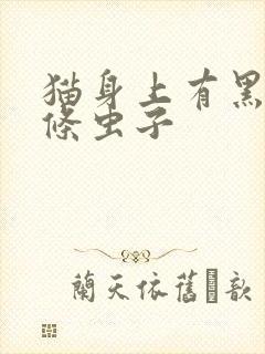 猫身上有黑色长条虫子