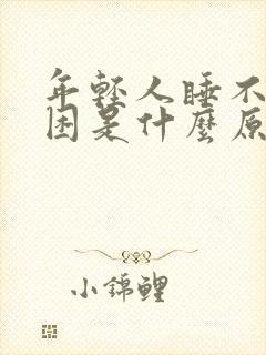 年轻人睡不醒犯困是什么原因