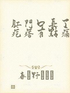 肛门口长了个肉疙瘩有点痛