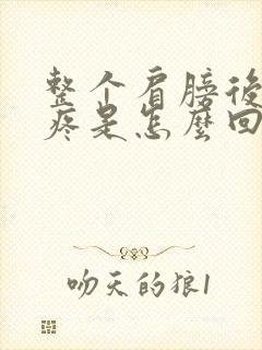 整个肩膀后背酸疼是怎么回事