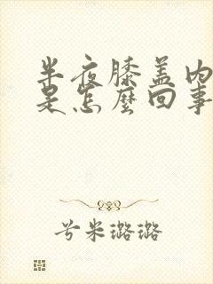 半夜膝盖内侧疼是怎么回事