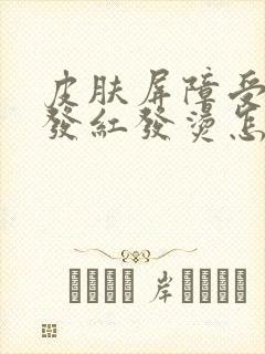 皮肤屏障受损脸发红发烫怎么治疗