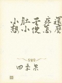 小肚子疼还一直想小便怎么回事