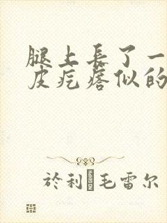 腿上长了一片鸡皮疙瘩似的