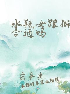 水瓶女跟狮子男合适吗