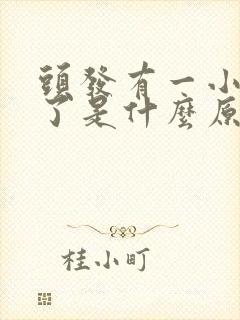 头发有一小块秃了是什么原因