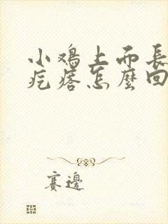 小鸡上面长了小疙瘩怎么回事