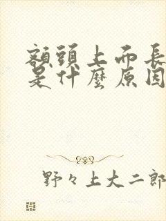 额头上面长白发是什么原因