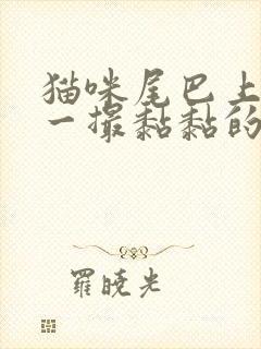 猫咪尾巴上的毛一撮黏黏的