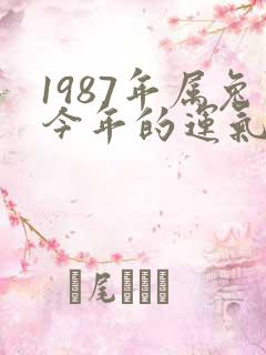 1987年属兔今年的运气怎么样