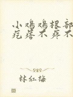 小鸡鸡根部有小疙瘩不疼不痒