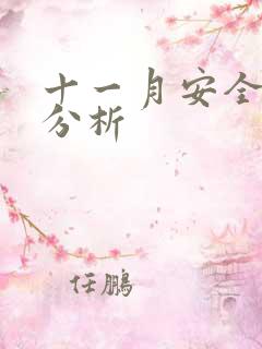 十一月安全形势分析