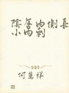 阴唇内侧长一排小肉刺