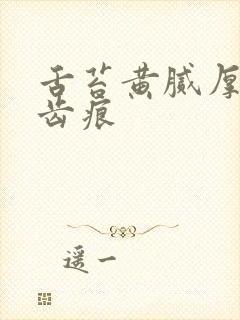 舌苔黄腻厚白有齿痕