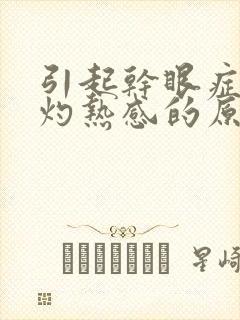 引起干眼症眼睛灼热感的原因