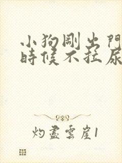 小狗刚出门遛的时候不拉尿