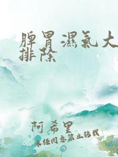 脾胃湿气大怎样排除